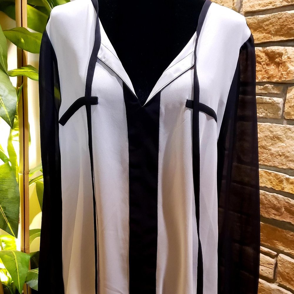 Sheer Black/White Top
